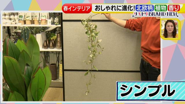 画像8: おしゃれに進化したインテリア小物で春をサキドリ♪