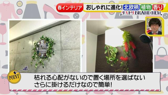 画像10: おしゃれに進化したインテリア小物で春をサキドリ♪