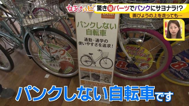 画像12: チューンアップ篇 快適自転車ナビ♪
