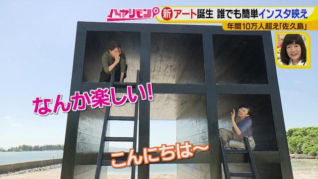 画像8: 行くなら今!「佐久島」~アート編~