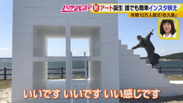 画像14: 行くなら今!「佐久島」~アート編~