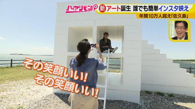 画像12: 行くなら今!「佐久島」~アート編~