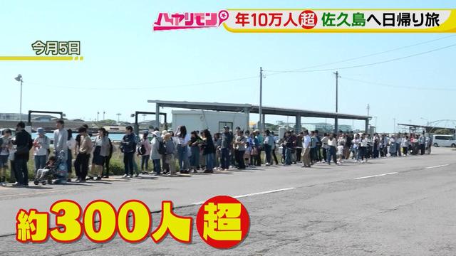 画像1: 行くなら今!「佐久島」~アート編~
