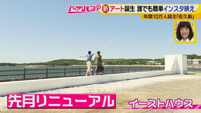 画像11: 行くなら今!「佐久島」~アート編~