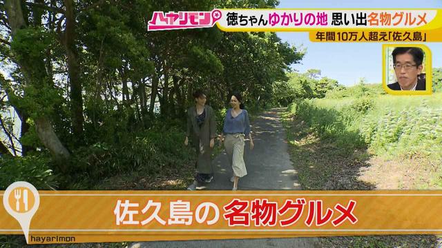 画像3: 行くなら今!「佐久島」~名物グルメ編~