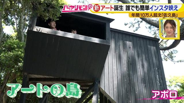 画像4: 行くなら今!「佐久島」~アート編~