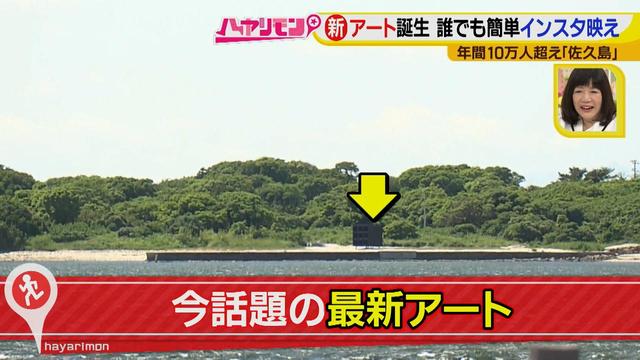 画像10: 行くなら今!「佐久島」~アート編~