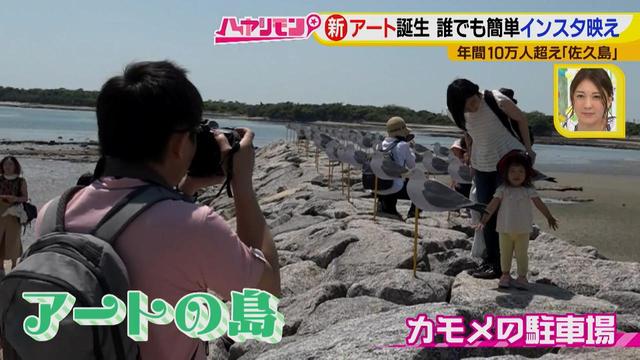 画像3: 行くなら今!「佐久島」~アート編~