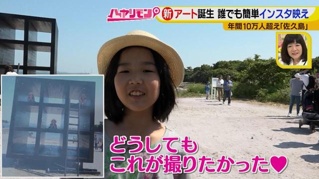 画像7: 行くなら今!「佐久島」~アート編~