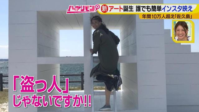 画像15: 行くなら今!「佐久島」~アート編~