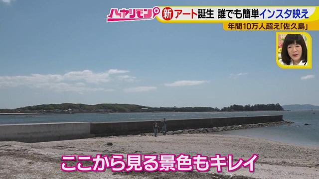 画像9: 行くなら今!「佐久島」~アート編~