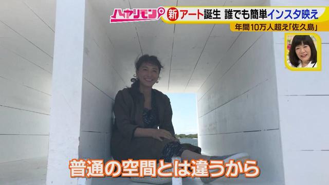画像13: 行くなら今!「佐久島」~アート編~