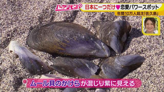 画像11: 行くなら今!「佐久島」~パワースポット編~