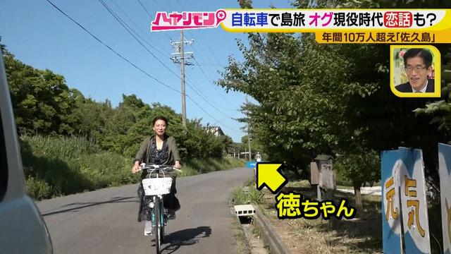画像6: 行くなら今!「佐久島」~パワースポット編~