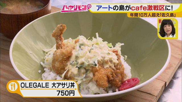 画像17: 行くなら今!「佐久島」~カフェ編~