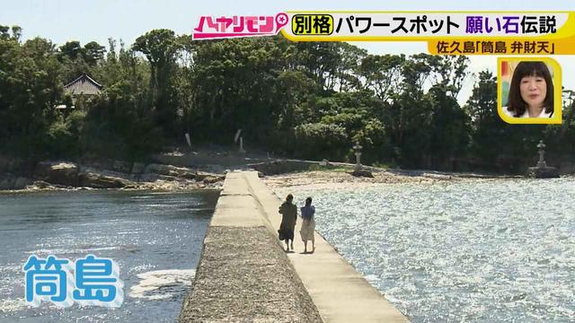 画像14: 行くなら今!「佐久島」~パワースポット編~