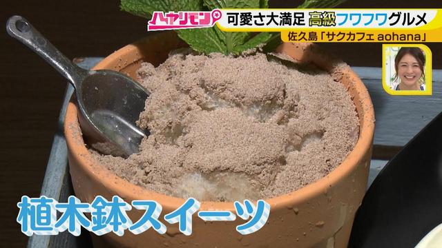 画像10: 行くなら今!「佐久島」~カフェ編~