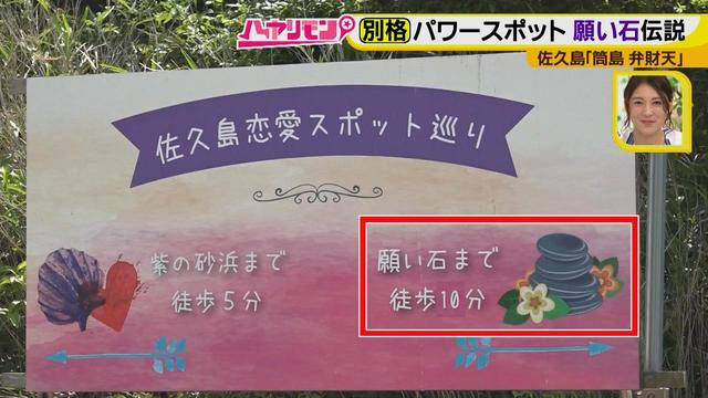 画像13: 行くなら今!「佐久島」~パワースポット編~