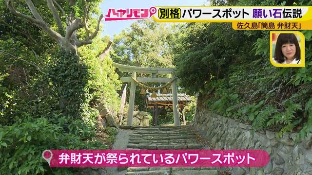 画像15: 行くなら今!「佐久島」~パワースポット編~