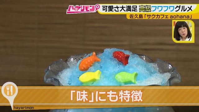 画像6: 行くなら今!「佐久島」~カフェ編~