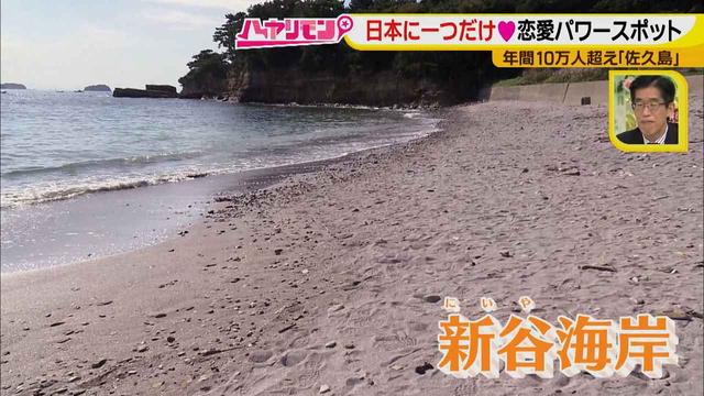 画像9: 行くなら今!「佐久島」~パワースポット編~