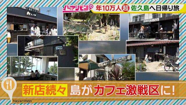 画像2: 行くなら今!「佐久島」~カフェ編~