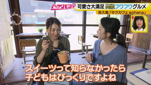 画像12: 行くなら今!「佐久島」~カフェ編~