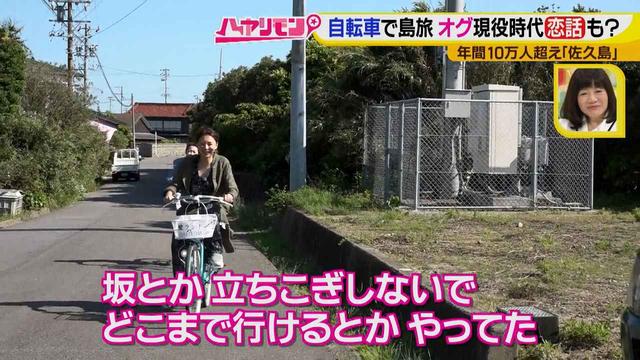 画像5: 行くなら今!「佐久島」~パワースポット編~