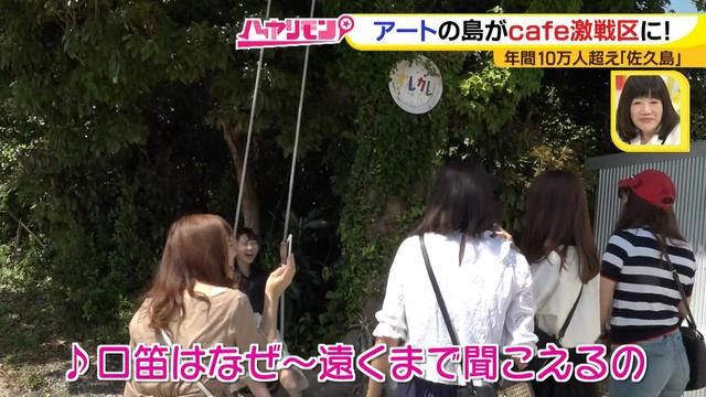 画像16: 行くなら今!「佐久島」~カフェ編~