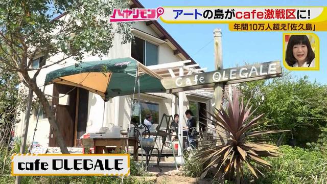 画像15: 行くなら今!「佐久島」~カフェ編~