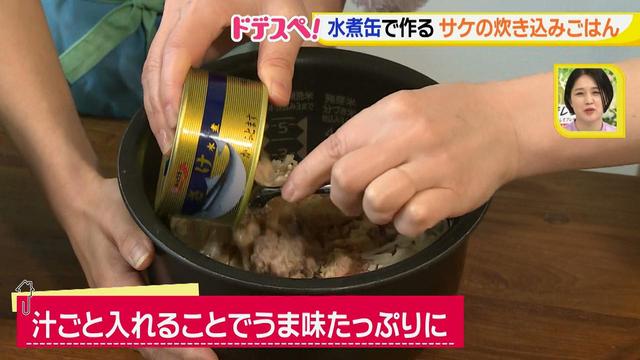 画像9: 水煮缶で時短料理!~サケの水煮缶編~