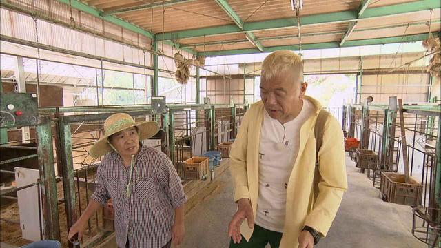 画像6: 旅人を癒す中山道の宿場 岐阜・御嵩町の旅