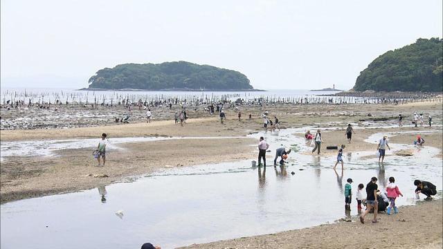 画像2: 心にも寄せては返す汐干狩 西尾市幡豆の旅