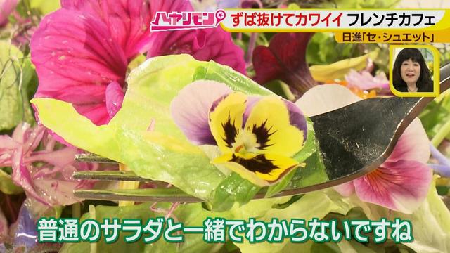 画像9: ずば抜けカワイイ☆フレンチカフェ イケメンシェフのお花畑が話題!