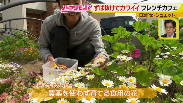 画像8: ずば抜けカワイイ☆フレンチカフェ イケメンシェフのお花畑が話題!