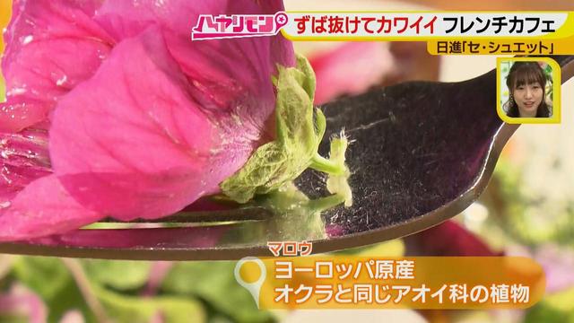 画像10: ずば抜けカワイイ☆フレンチカフェ イケメンシェフのお花畑が話題!