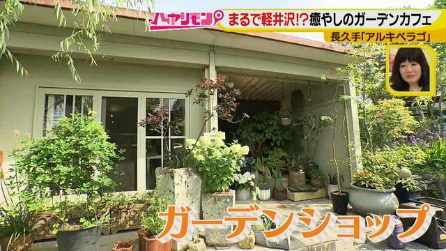 画像9: お庭が選べる?!軽井沢気分にひたれる癒しのガーデンカフェ♪