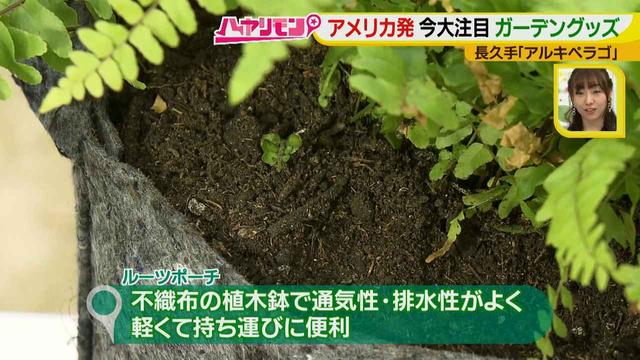 画像13: お庭が選べる?!軽井沢気分にひたれる癒しのガーデンカフェ♪