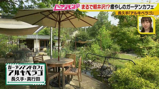 画像5: お庭が選べる?!軽井沢気分にひたれる癒しのガーデンカフェ♪