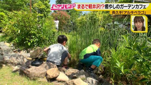 画像7: お庭が選べる?!軽井沢気分にひたれる癒しのガーデンカフェ♪