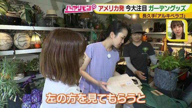 画像12: お庭が選べる?!軽井沢気分にひたれる癒しのガーデンカフェ♪