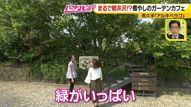画像2: お庭が選べる?!軽井沢気分にひたれる癒しのガーデンカフェ♪
