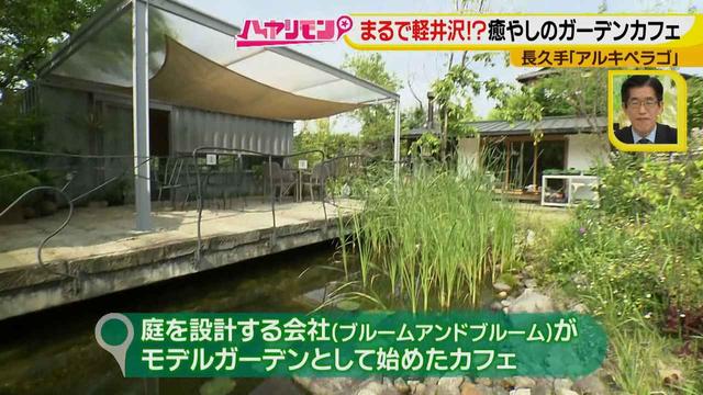 画像6: お庭が選べる?!軽井沢気分にひたれる癒しのガーデンカフェ♪