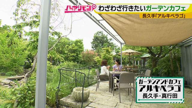 画像17: お庭が選べる?!軽井沢気分にひたれる癒しのガーデンカフェ♪