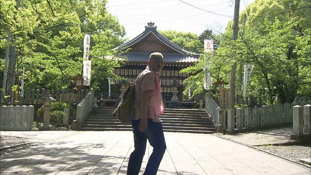 画像7: 風薫る竹林 癒しの古都 京都・向日市の旅