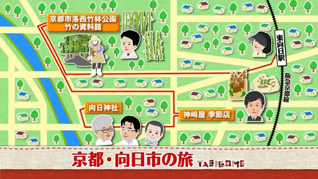画像1: 風薫る竹林 癒しの古都 京都・向日市の旅