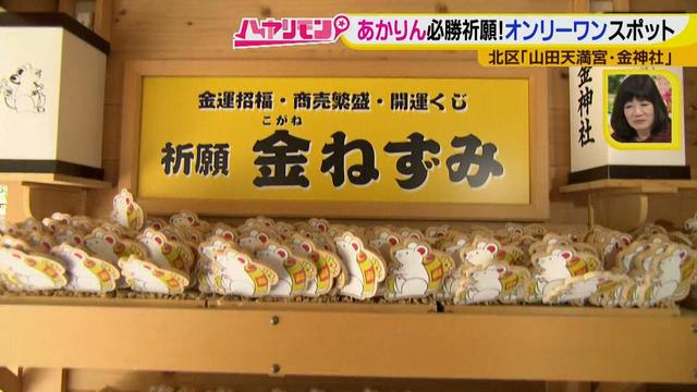 画像6: やっぱり大切、神頼み!あかりん、ねずみさんで必勝祈願!