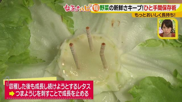 画像10: ちょい手間でおいしく長持ち!野菜の保存マル秘ワザ♪