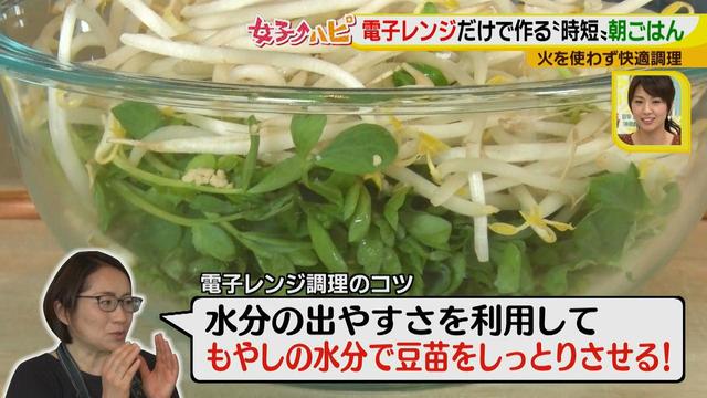 画像6: 涼しくカンタンに!電子レンジで作る朝ごはん♪
~豆苗ともやしのナムル~