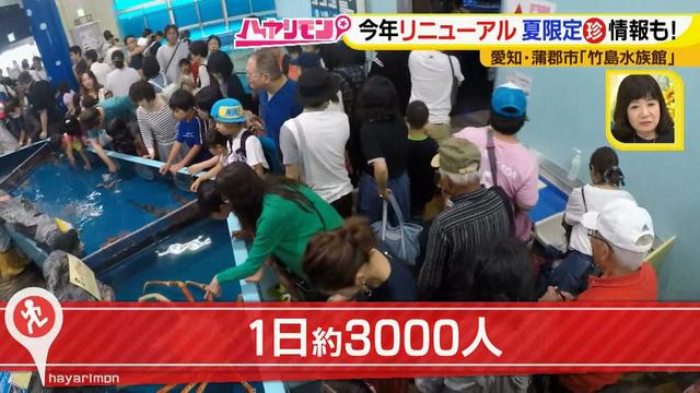 画像2: 小さくても大人気の水族館!ショーはアシカの気分次第♪
“らしさ”を楽しむナイトアクアリウムは来月開催!